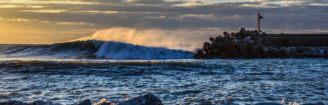 1973973 988604597821239 1598905898747267491 o