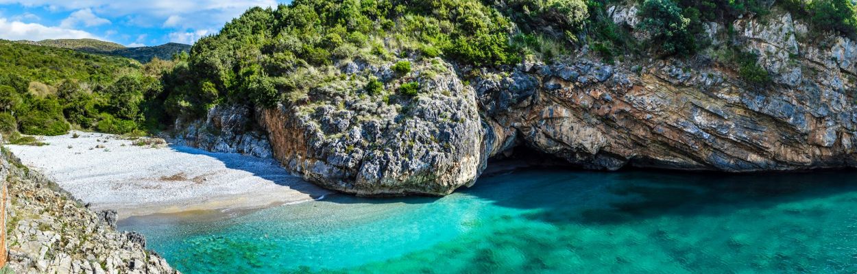 10733823 953074174707615 3378555658322555266 o